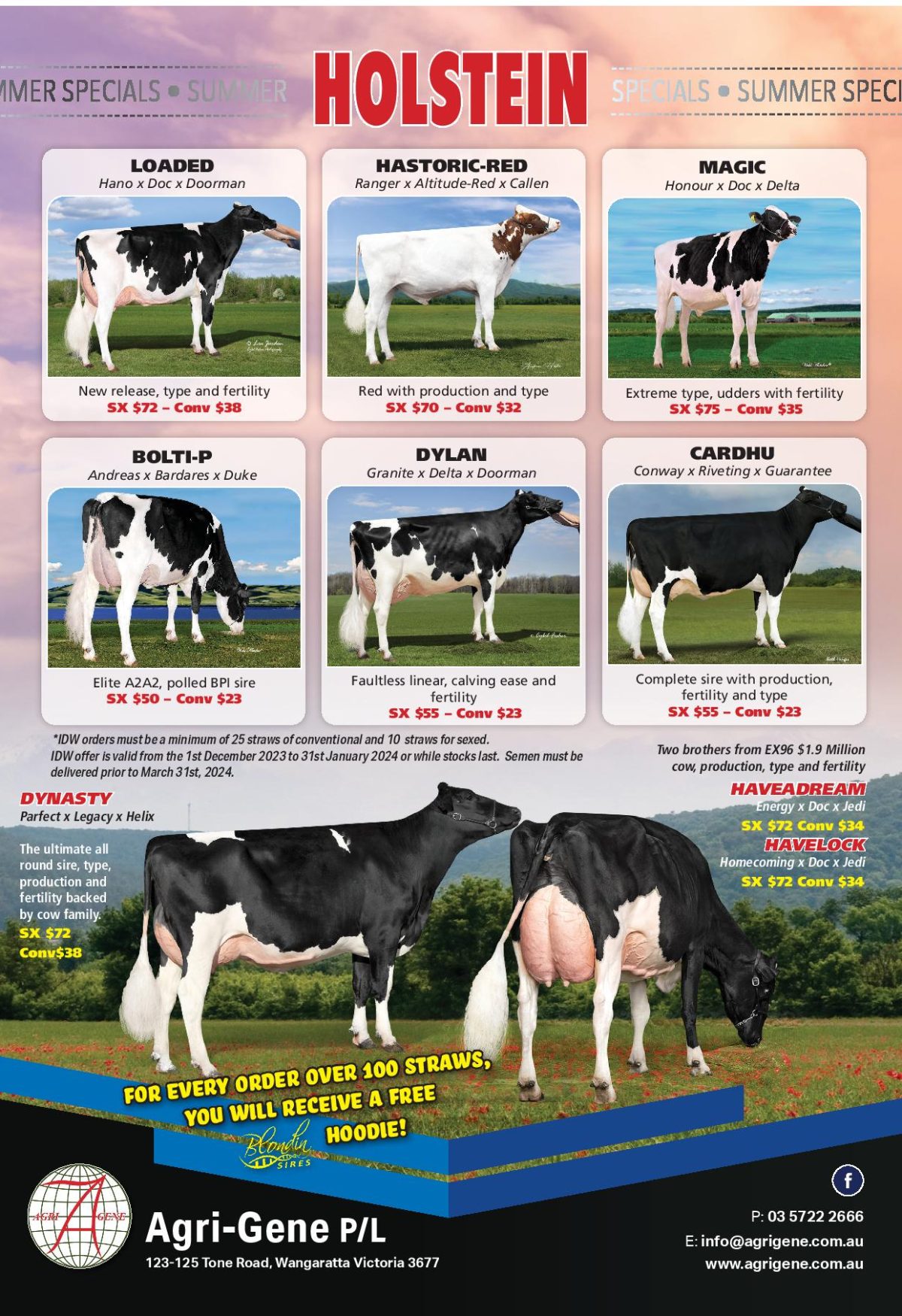 2023_Holstein_Specials_IDW-A4_PRESS-page-001